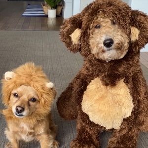 Meet your Posher, Jazmin